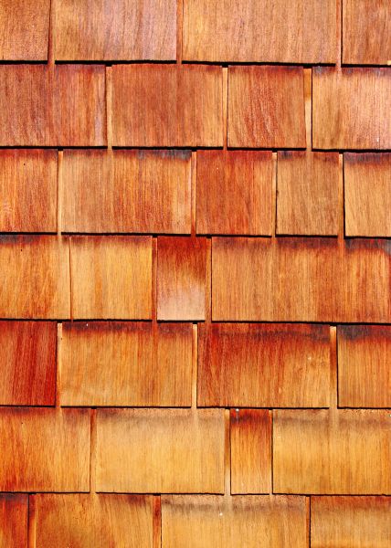 Wood Siding Replacement in Edmonds